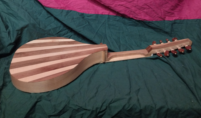 A side view of the body from the back showing many of the unique features of renaissance citterns, such as the tapering body, the p-shaped neck and the columns at the body join. Back and sides here are of European Sycamore and Sapele.