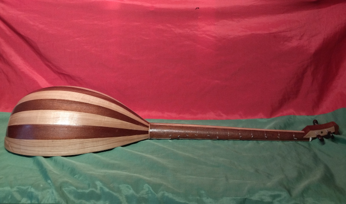 Side view of back with body and neck made of European Ash and Sapele.