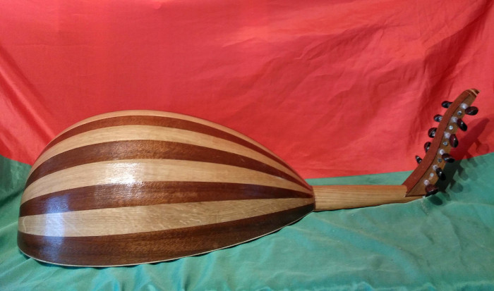 Side view from back with body made from Sapele and European Oak.