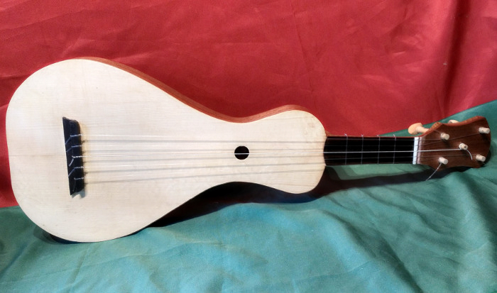 Front view of viola de cocho with fingerboard of Sonokeling and pegs of Boxwood.